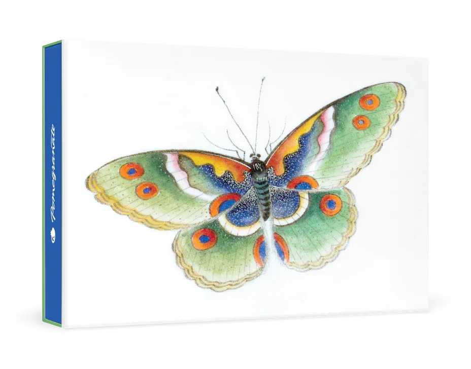 Butterfly Small Boxed Cards