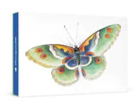 Butterfly Small Boxed Cards