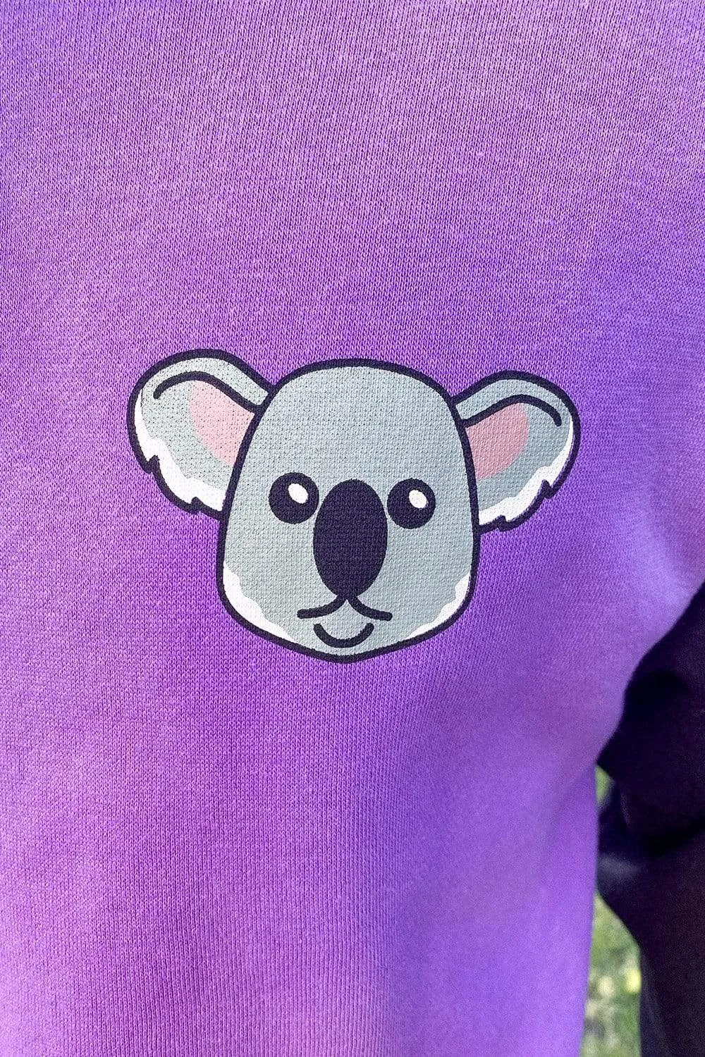 Colby Brock: Koala Colorblock Hoodie