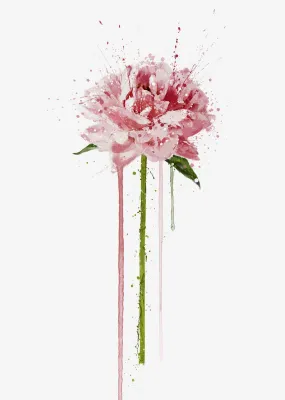 Flower Wall Art Print 'Peony'